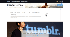 Desktop Screenshot of conseilspro.com