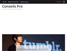 Tablet Screenshot of conseilspro.com